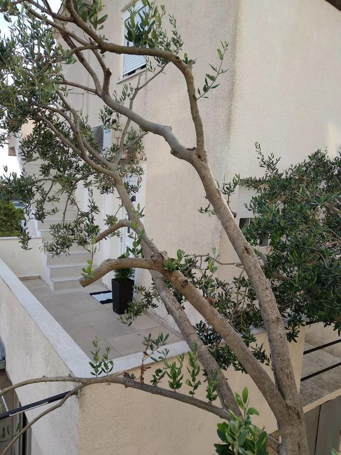 Sea View Apartment تروغير المظهر الخارجي الصورة